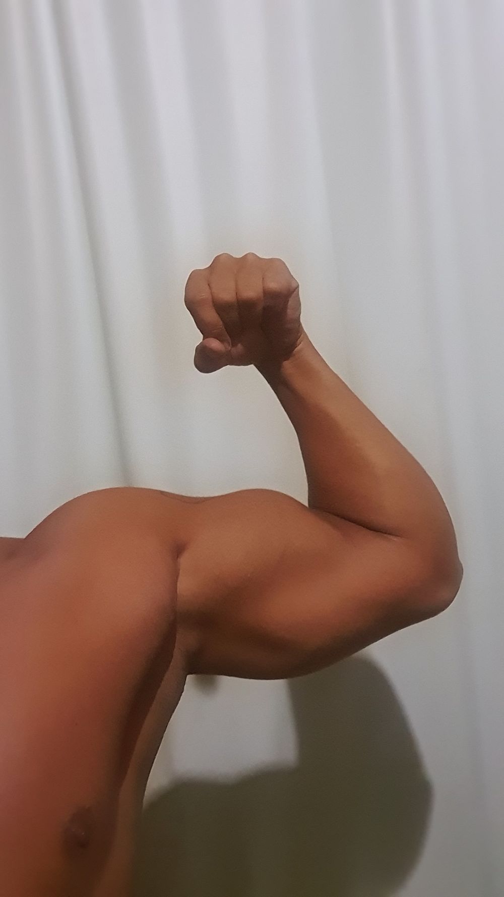 rogermuscles OnlyFans profile picture