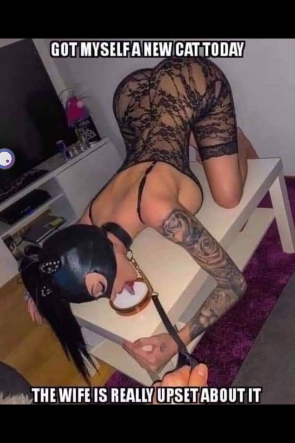 seedless213 OnlyFans profile picture