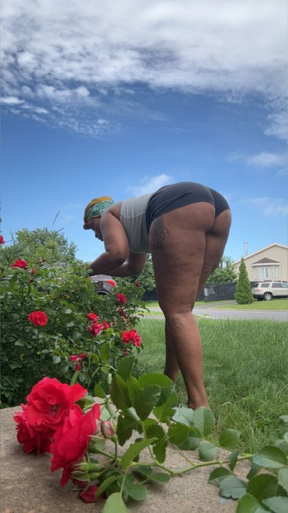 mia_rose_gold OnlyFans picture
