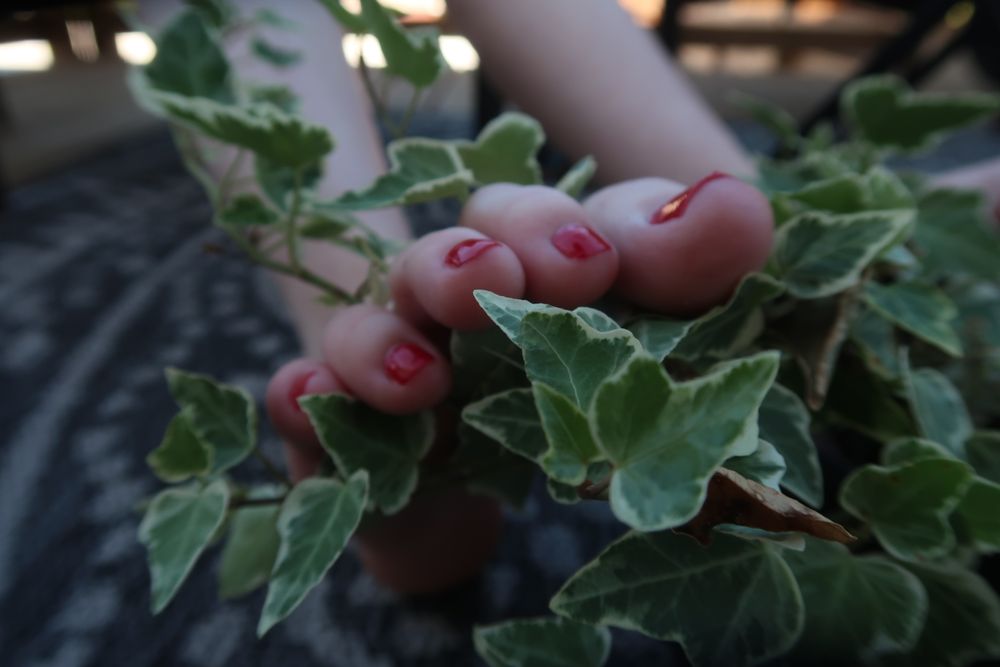 footsieenvy OnlyFans profile picture