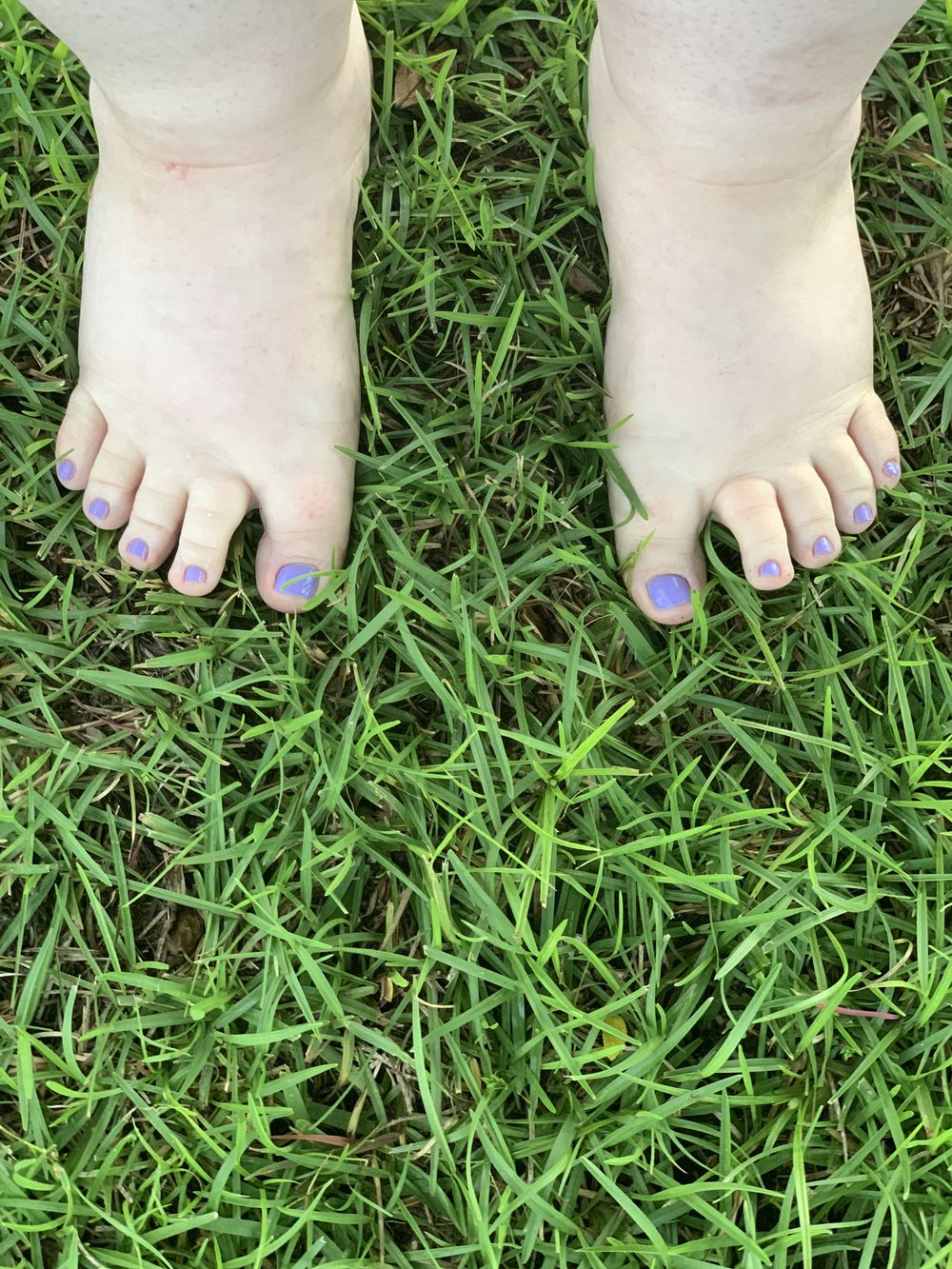 piggy_toes14 OnlyFans profile picture