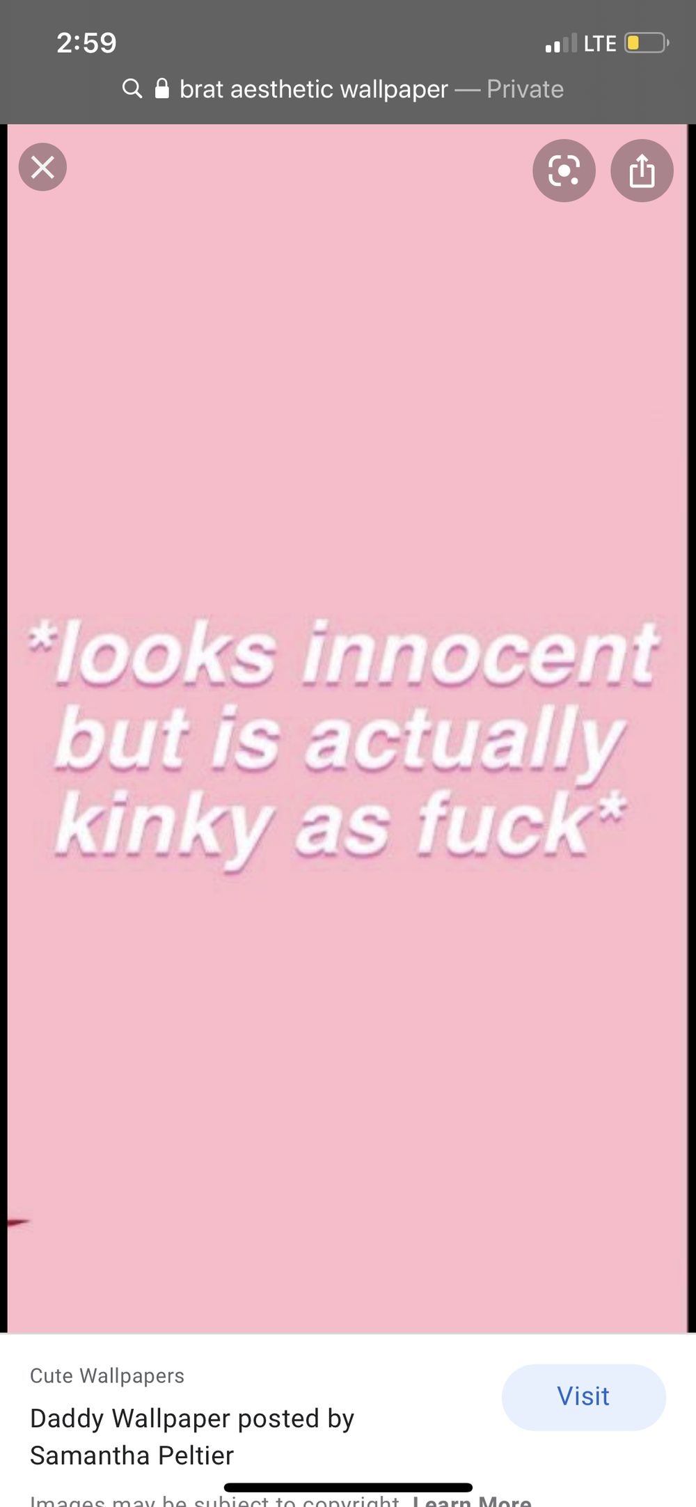 wet1wild OnlyFans profile picture