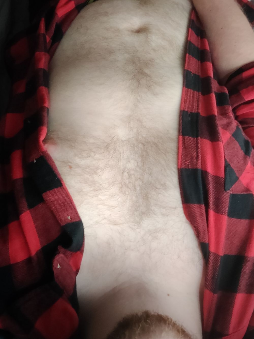couriouscub OnlyFans profile picture