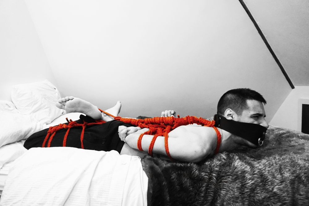 safeandbound OnlyFans profile picture