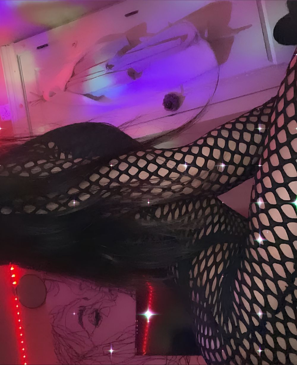 zaliyahventura OnlyFans profile picture