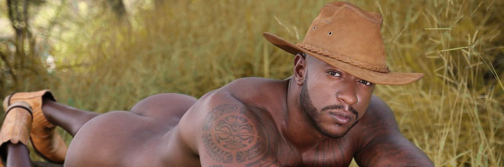 viniboyoficial2 OnlyFans profile picture