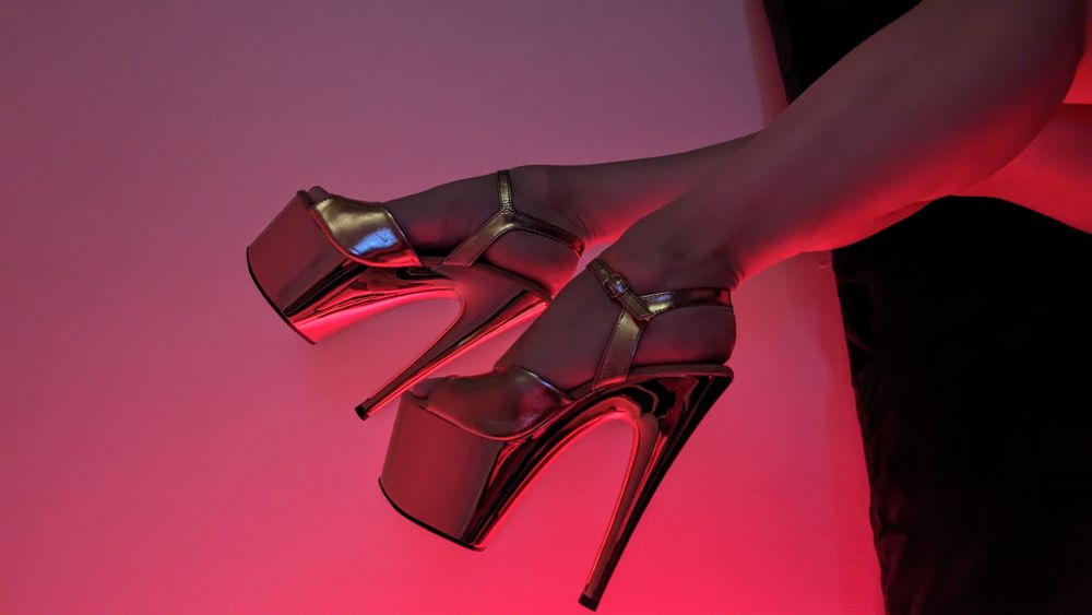 mitzidaisy OnlyFans profile picture