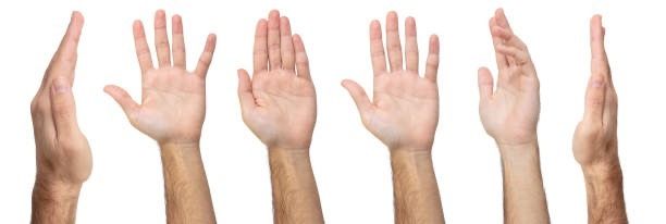 officialhands OnlyFans profile picture