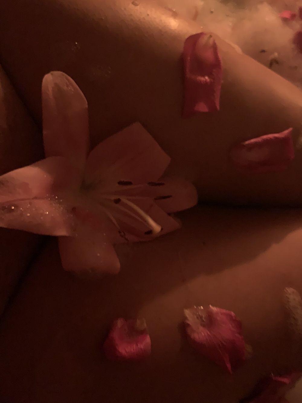 sakarifindomx OnlyFans profile picture