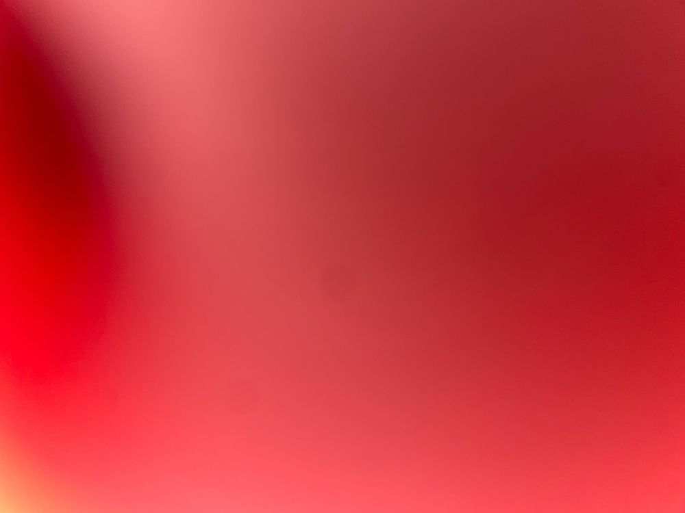 yellarossseeee OnlyFans profile picture