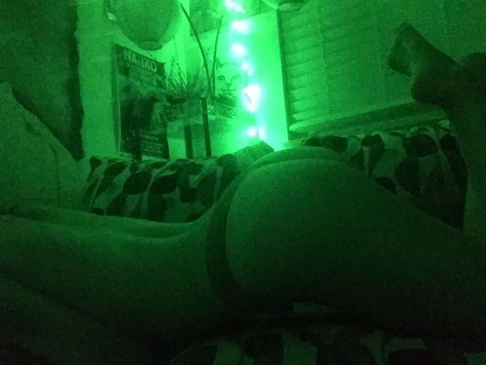 honeytitzzz OnlyFans profile picture