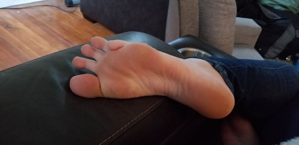 evangeline_walks OnlyFans profile picture