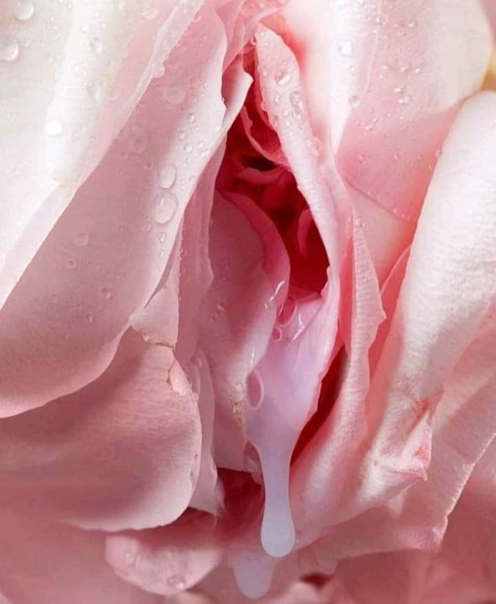 mamakarma OnlyFans profile picture