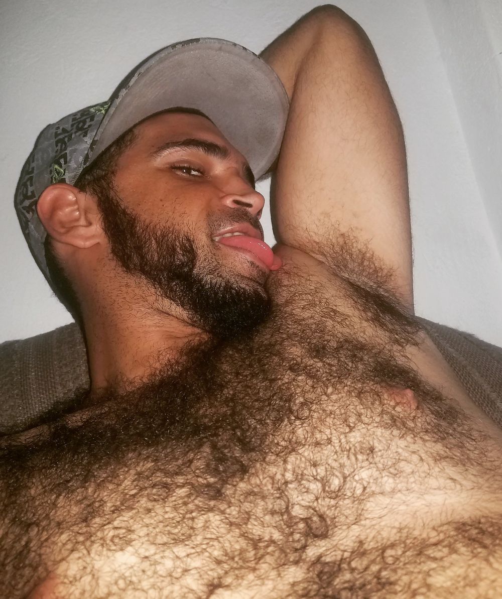 hairyhotbat OnlyFans profile picture