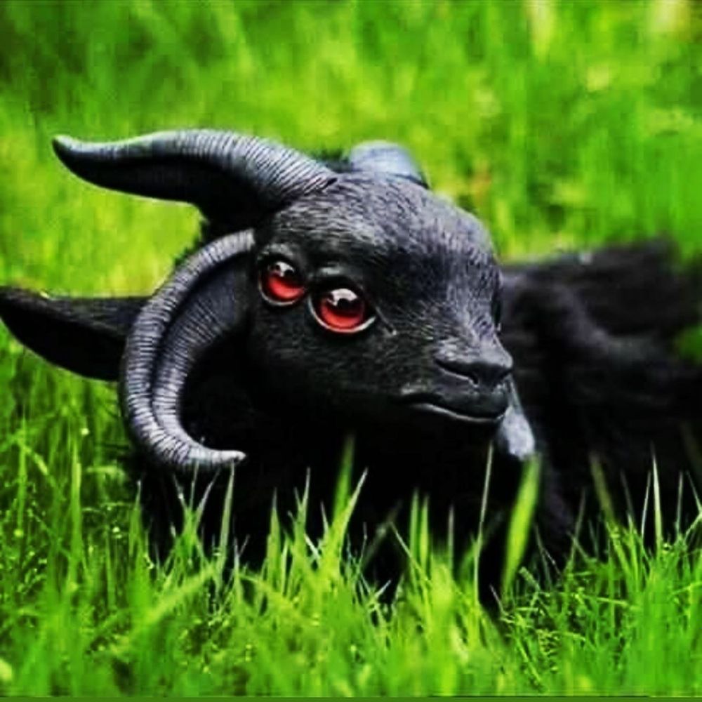 deathrowwish666 OnlyFans profile picture