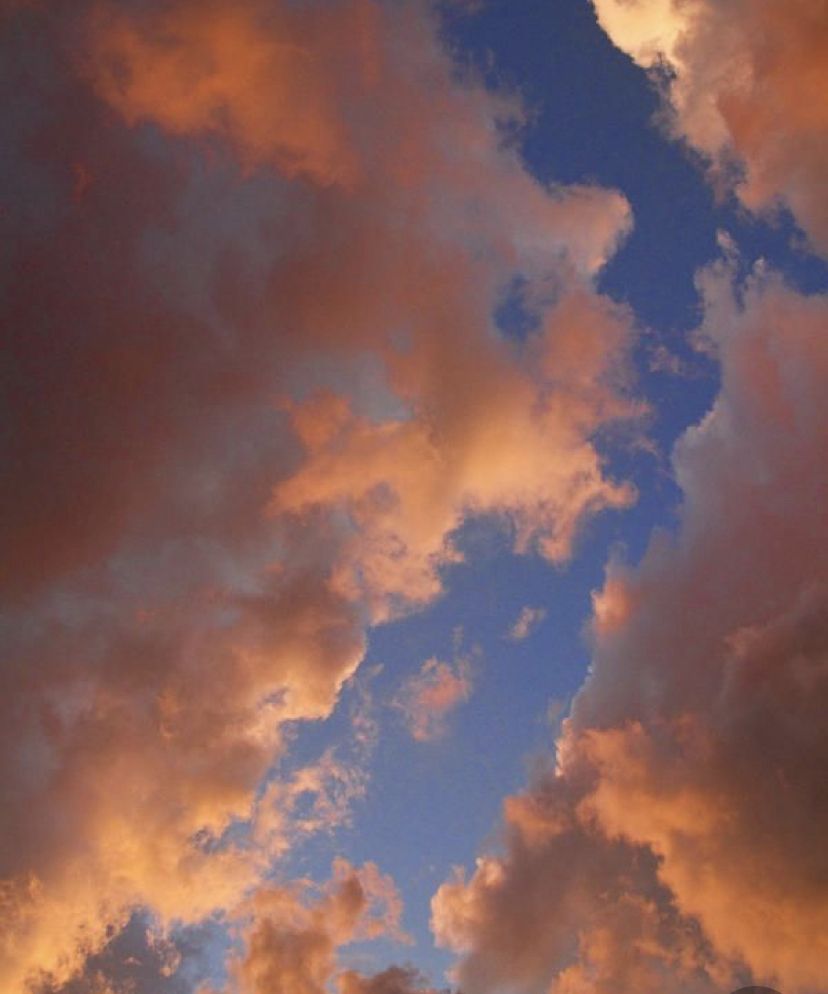 tootsiecloud OnlyFans profile picture