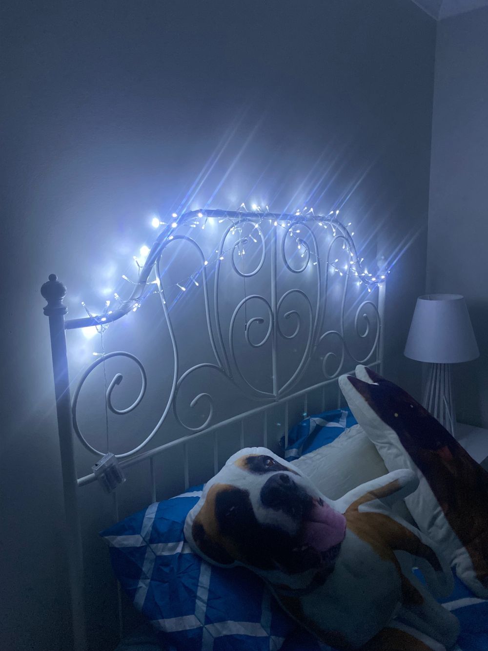 therealwolfo OnlyFans profile picture