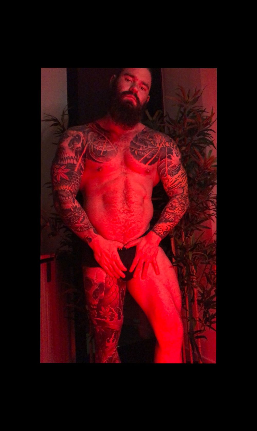 thealexwilliams OnlyFans profile picture