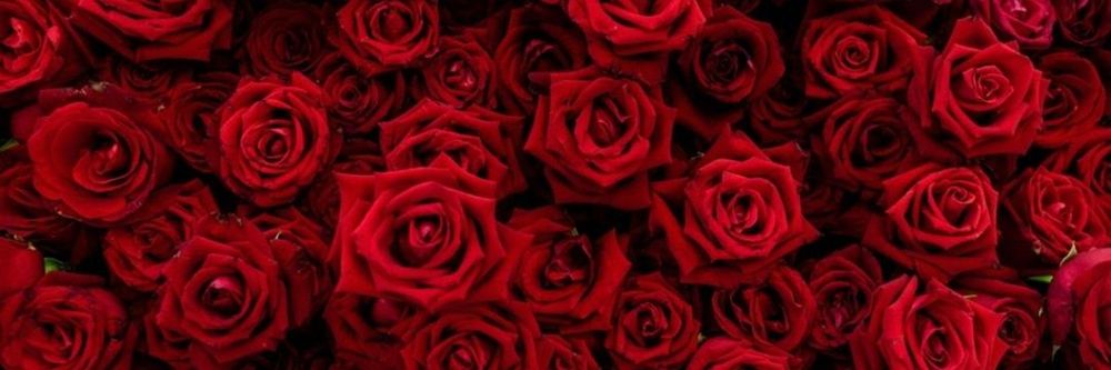 sweetlike___ OnlyFans profile picture