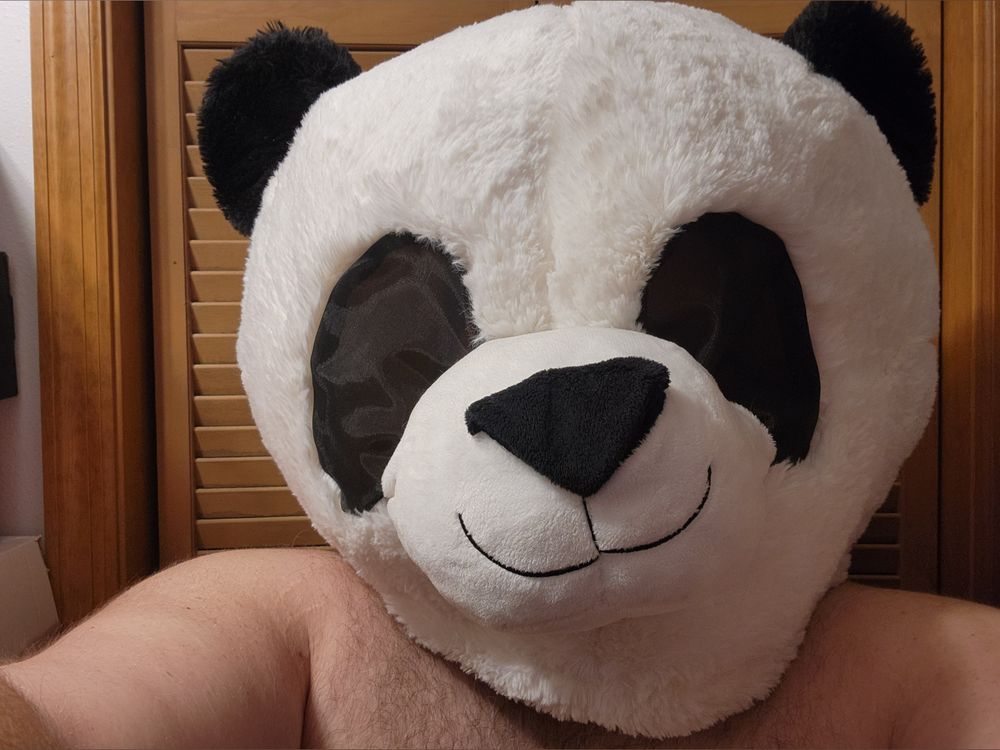 only-pandas OnlyFans profile picture