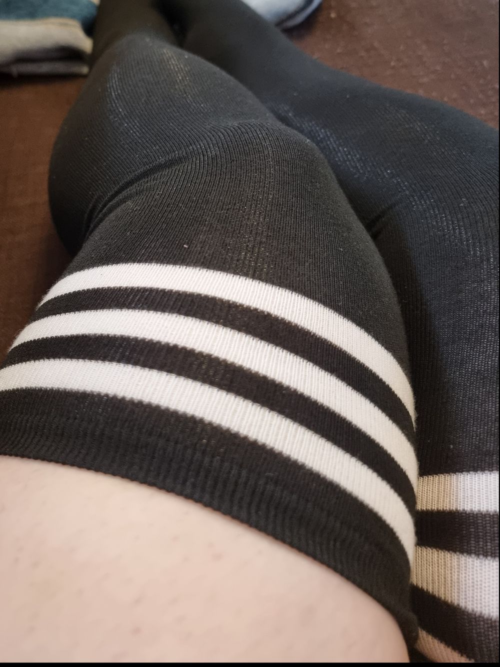 zepheyra OnlyFans profile picture
