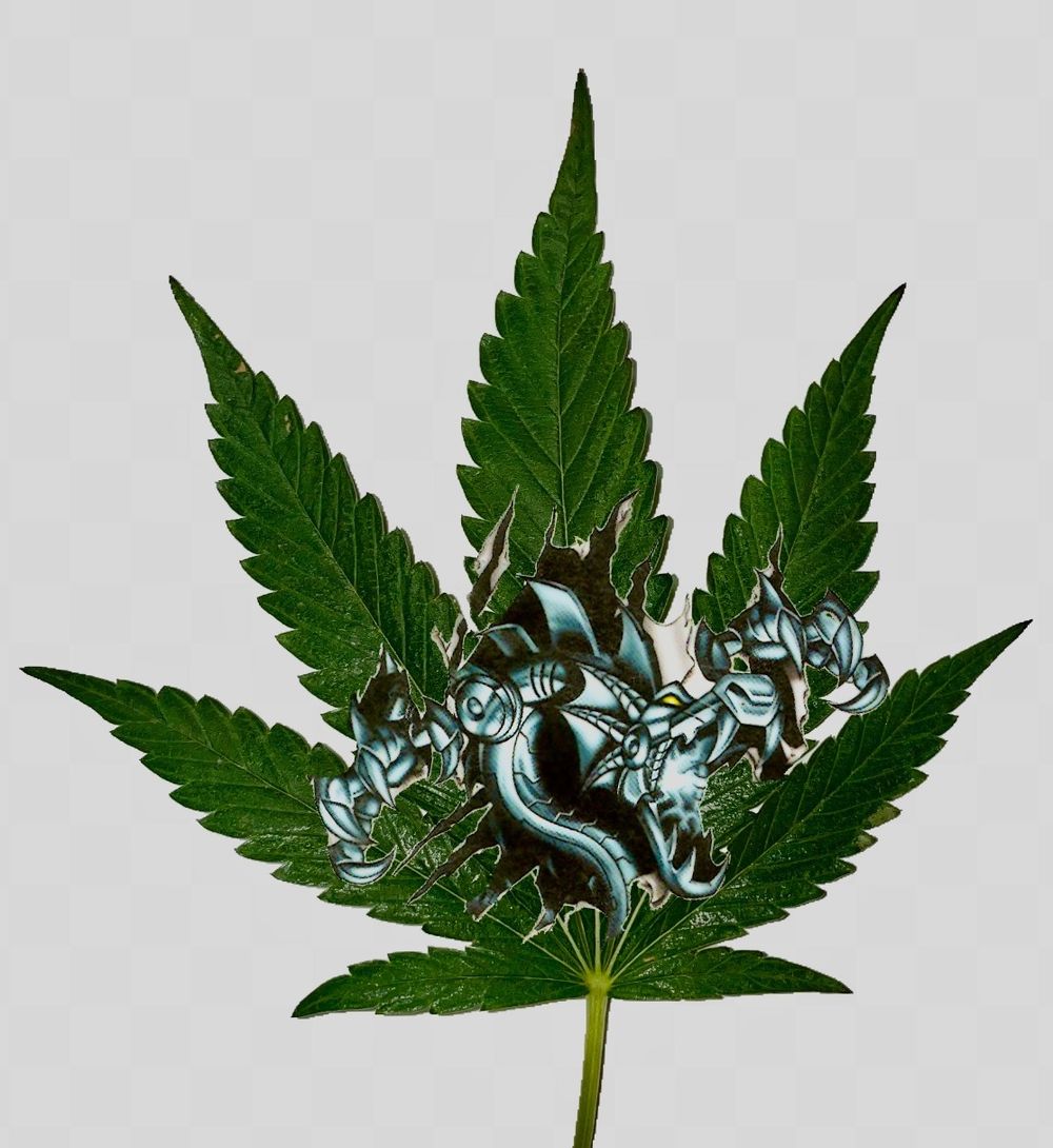 icedragon03 OnlyFans profile picture