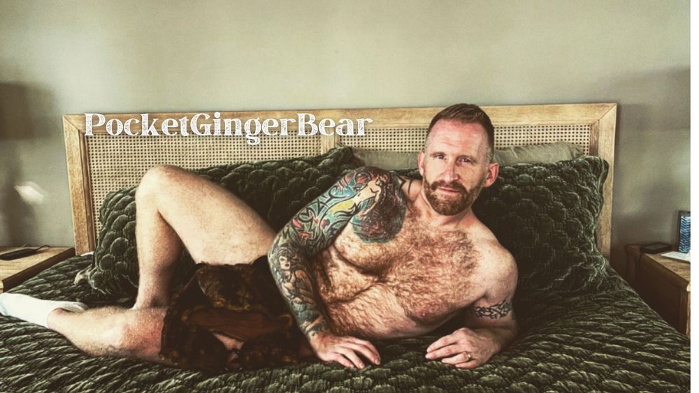 pocketgingerbear OnlyFans profile picture
