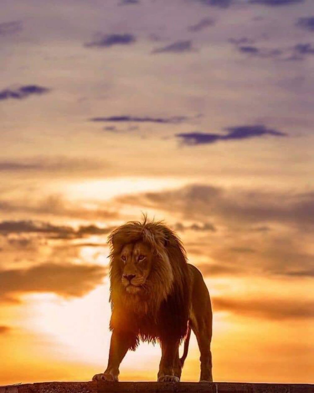 jaywaywinkwink OnlyFans profile picture