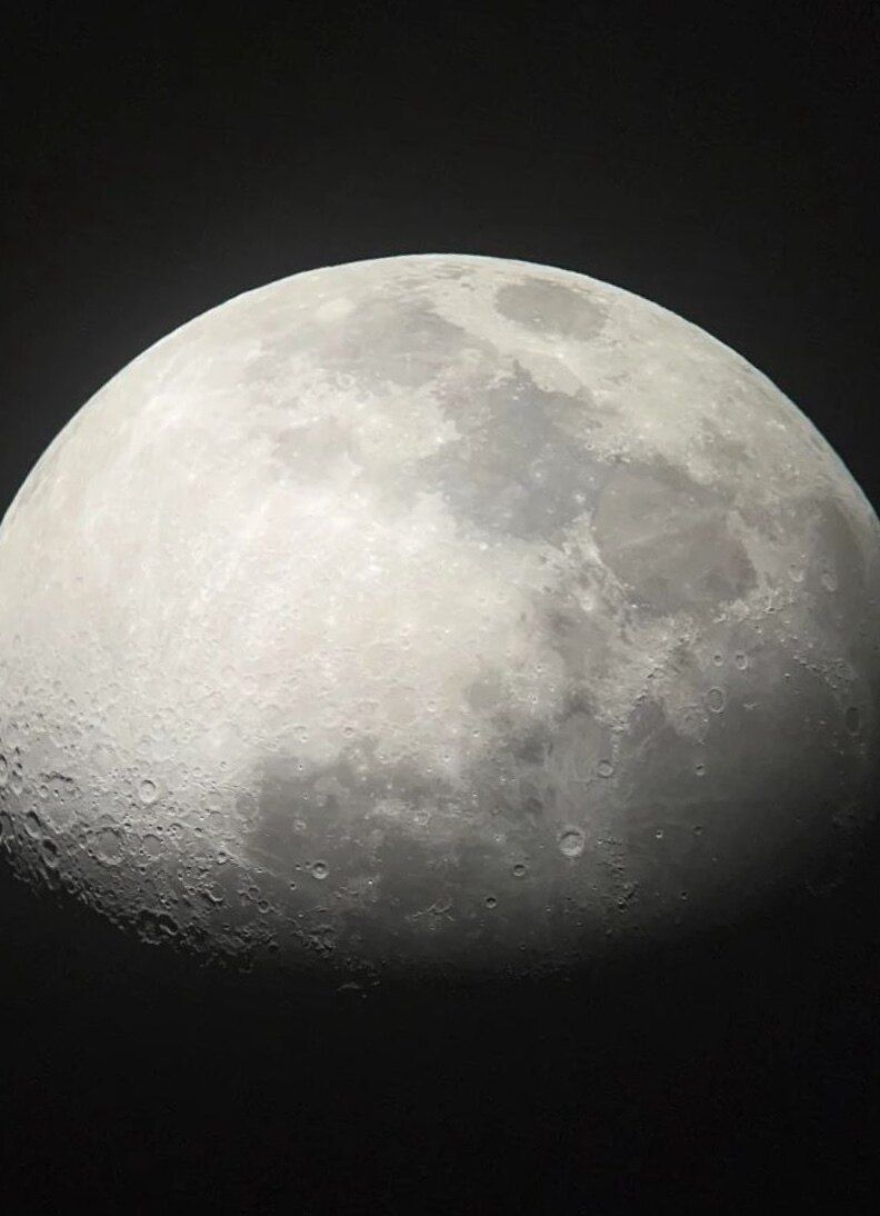 nocturnium OnlyFans profile picture