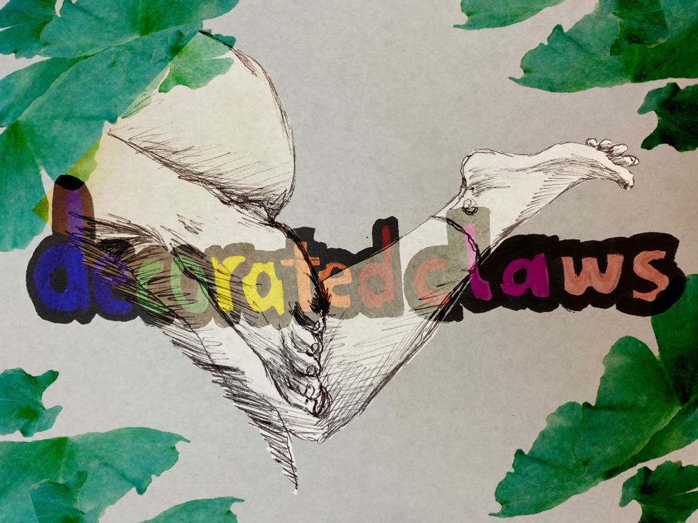 decortatedclaws OnlyFans profile picture