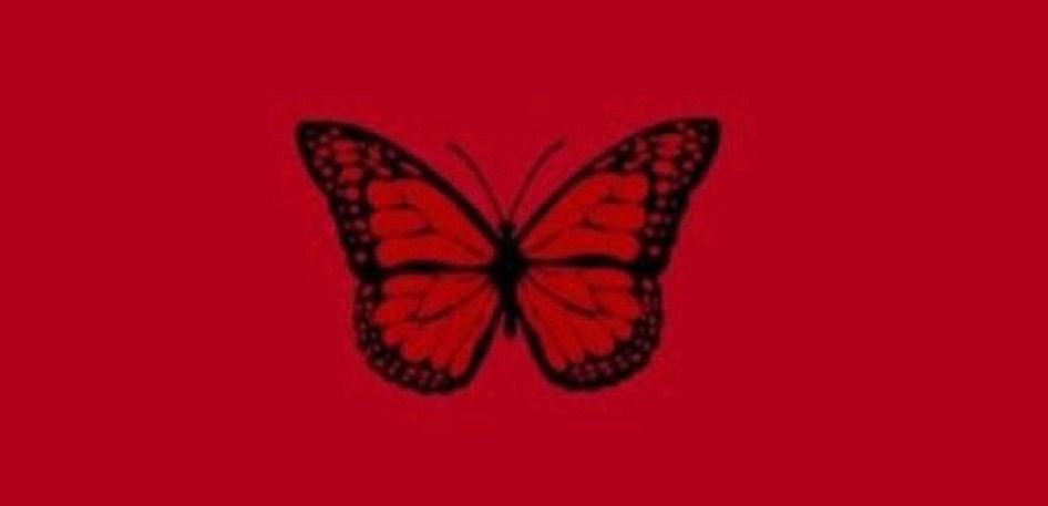 madysinnraine OnlyFans profile picture