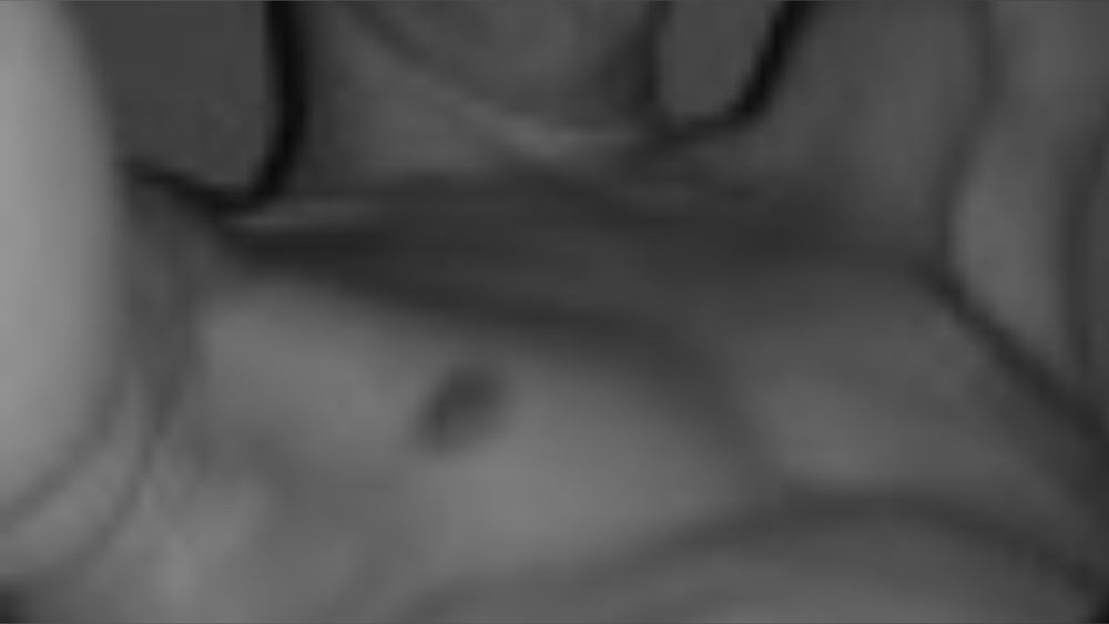 tombigdick2 OnlyFans profile picture