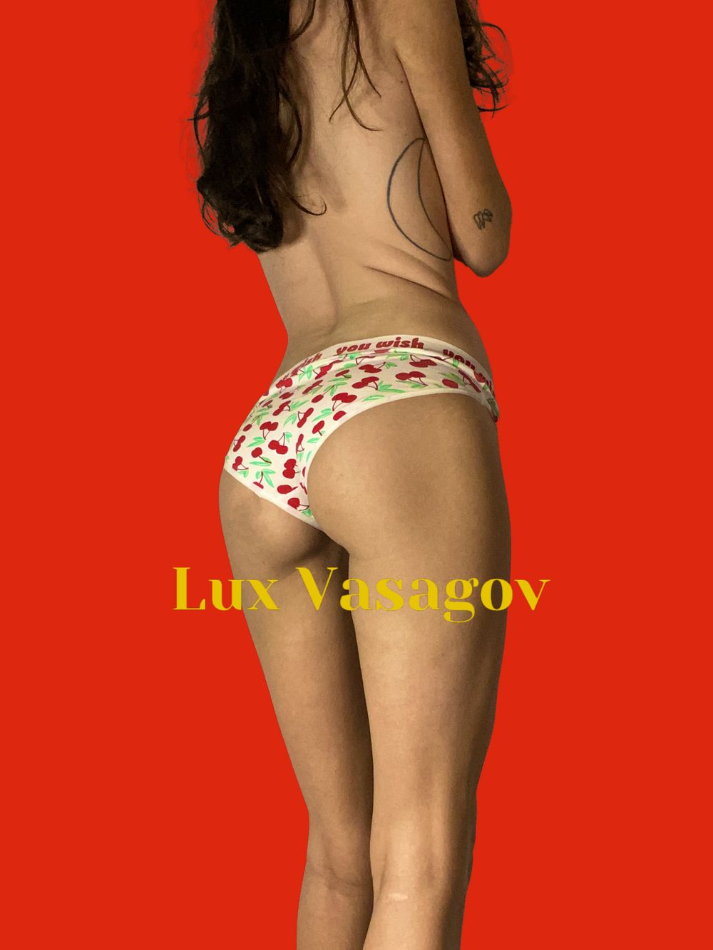 luxvasagov OnlyFans profile picture