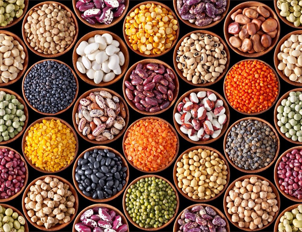 the_bean_queens OnlyFans profile picture