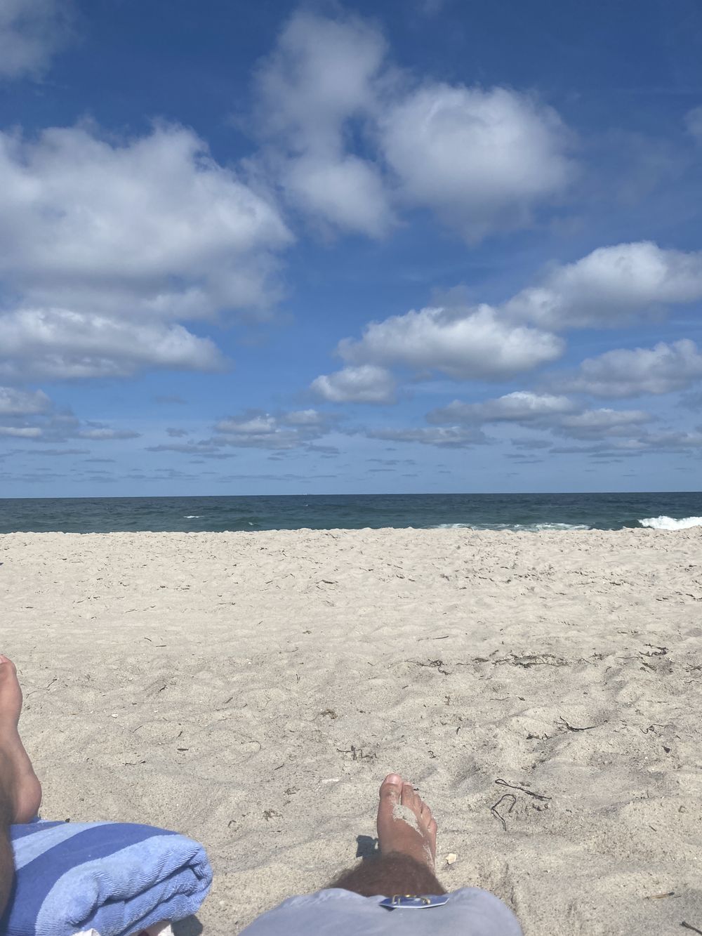 tattedbearfeet OnlyFans profile picture