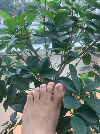 webbedtoesguy OnlyFans picture