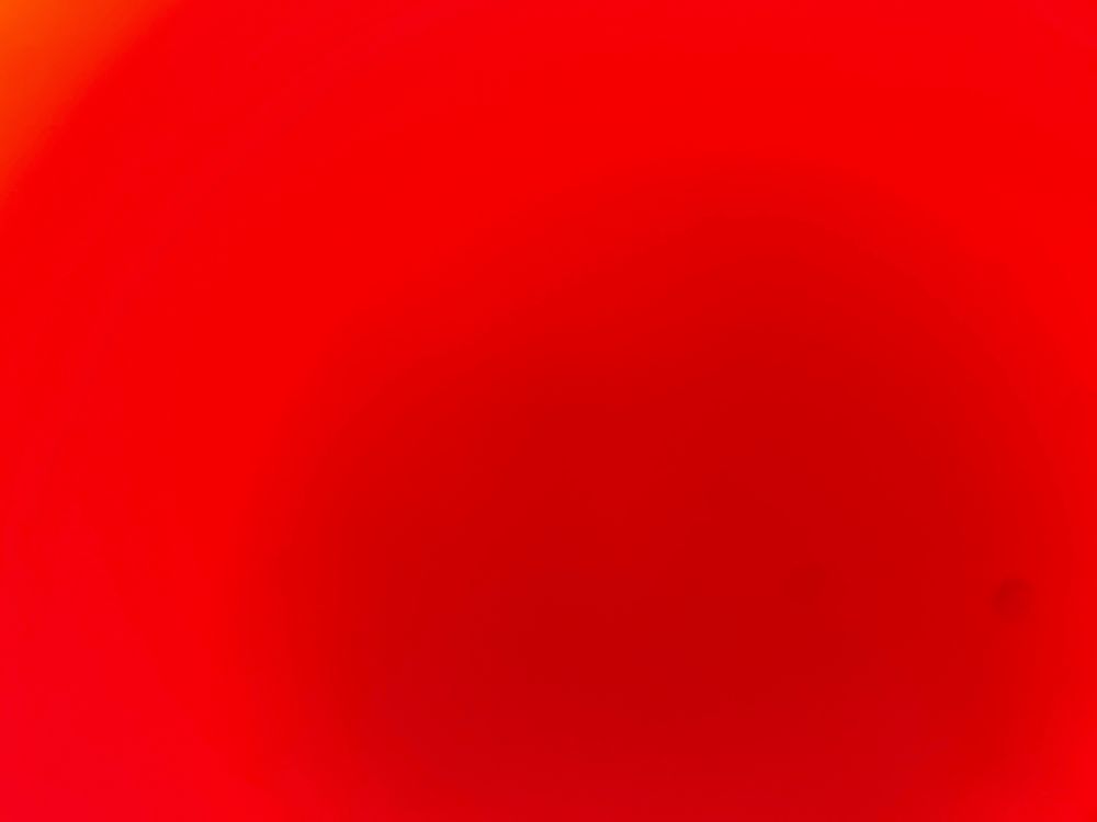 dkflixxx OnlyFans profile picture