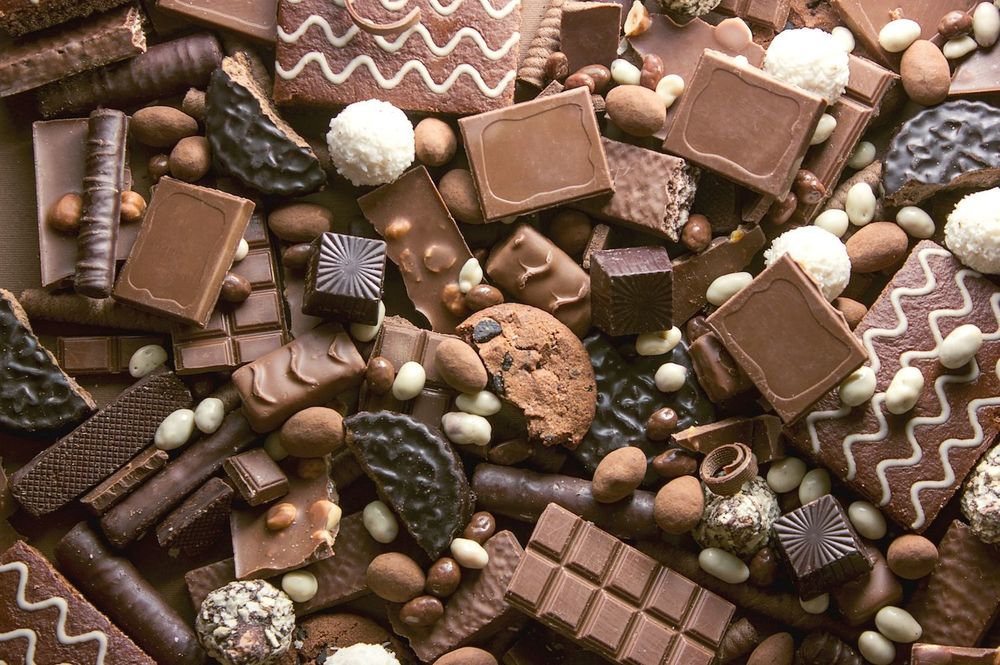 chocotiburon OnlyFans profile picture