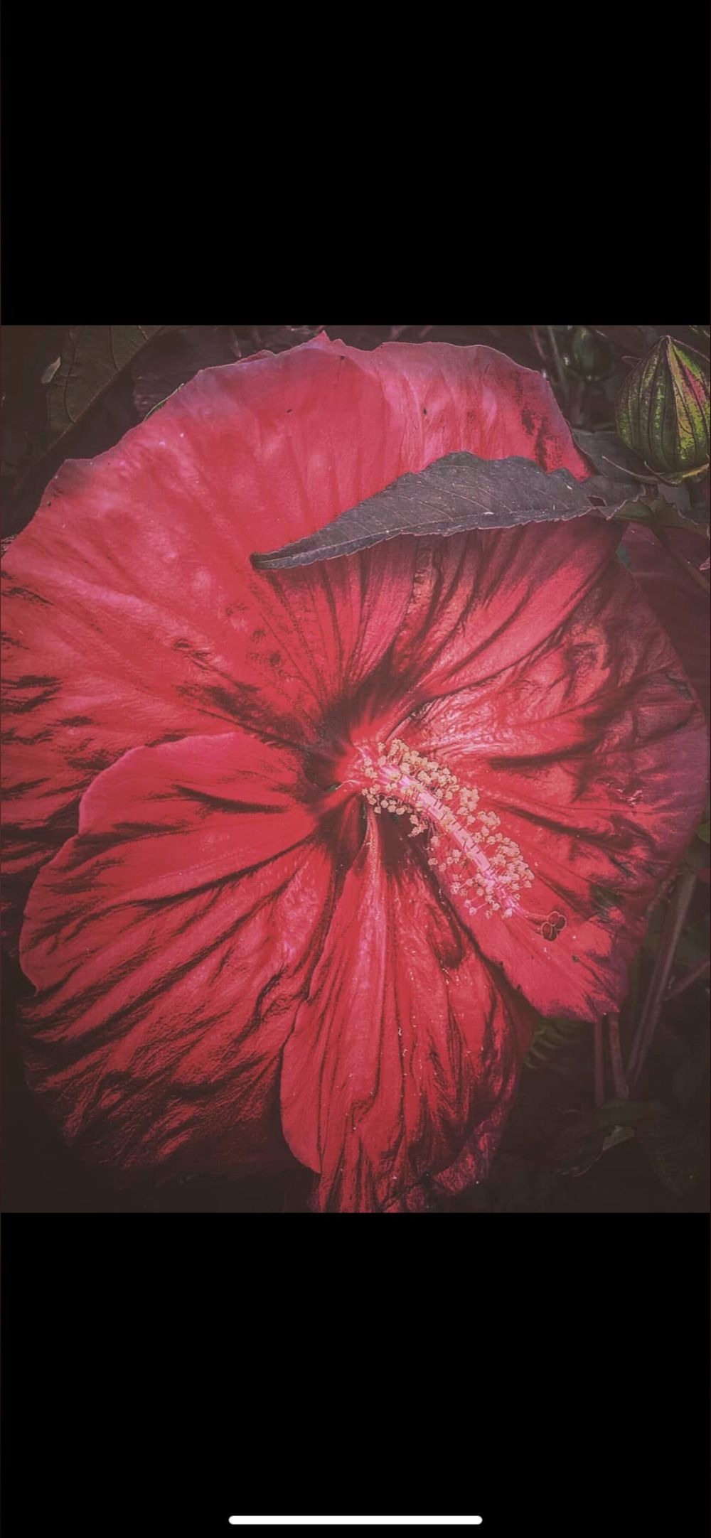 marymagdalenax OnlyFans profile picture