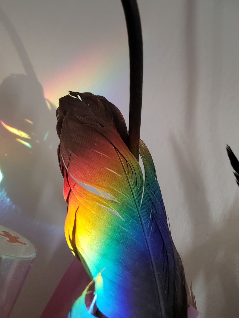 fknnightmare84 OnlyFans profile picture