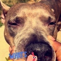 Best Itsararose OnlyFans Accounts | FansMetrics.com