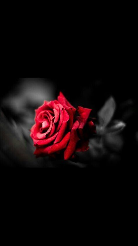 u174892509 OnlyFans profile picture