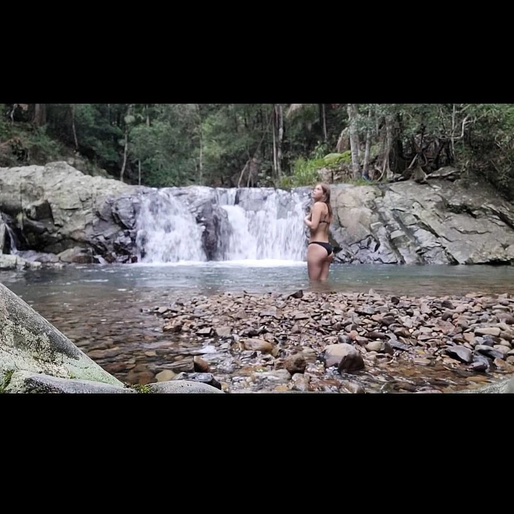 hippiehoeee OnlyFans profile picture