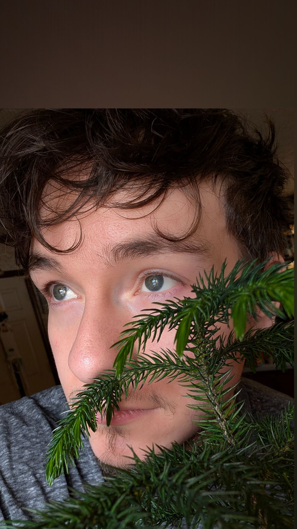 codyboi OnlyFans profile picture