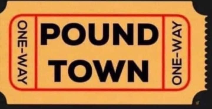 u52479155 OnlyFans profile picture