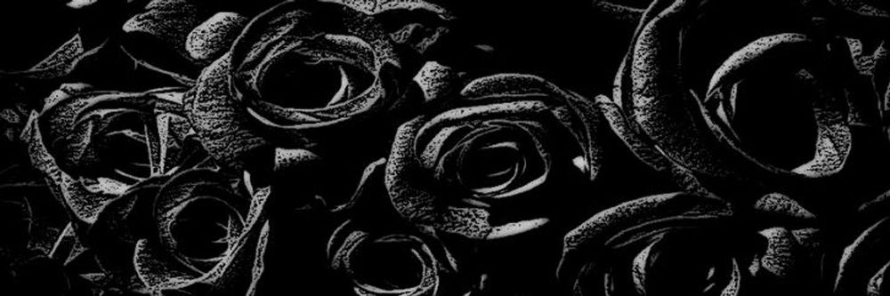 blackestrosead OnlyFans profile picture