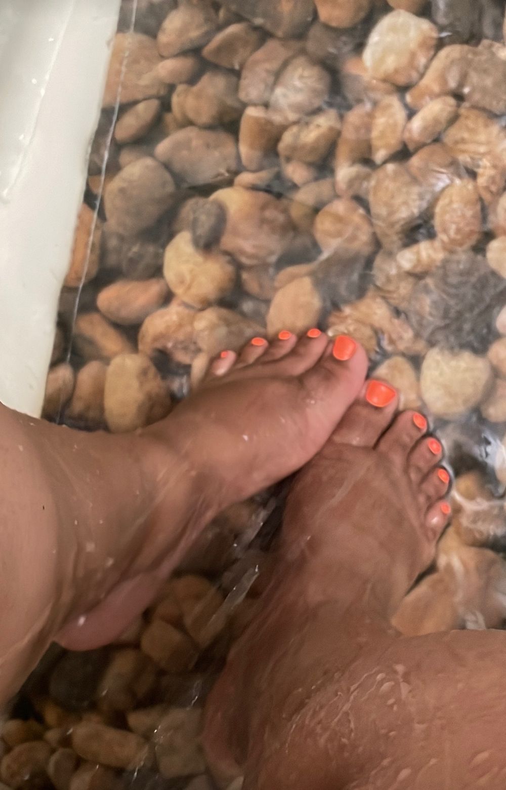 sensationalfeetz OnlyFans profile picture