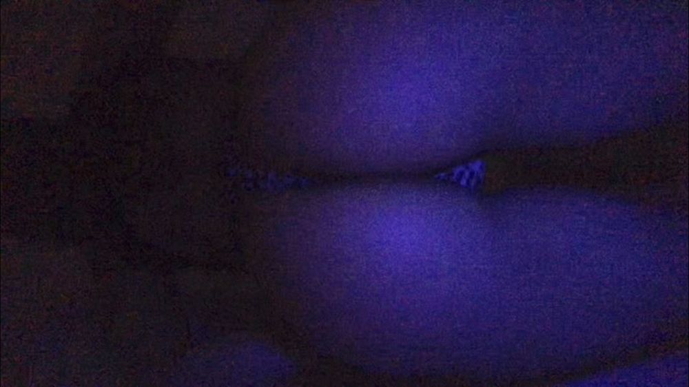 xxpinkxx OnlyFans profile picture