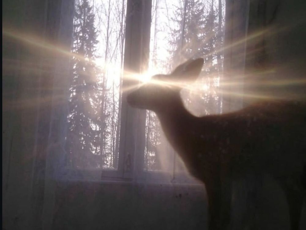 tnkdfawn OnlyFans profile picture