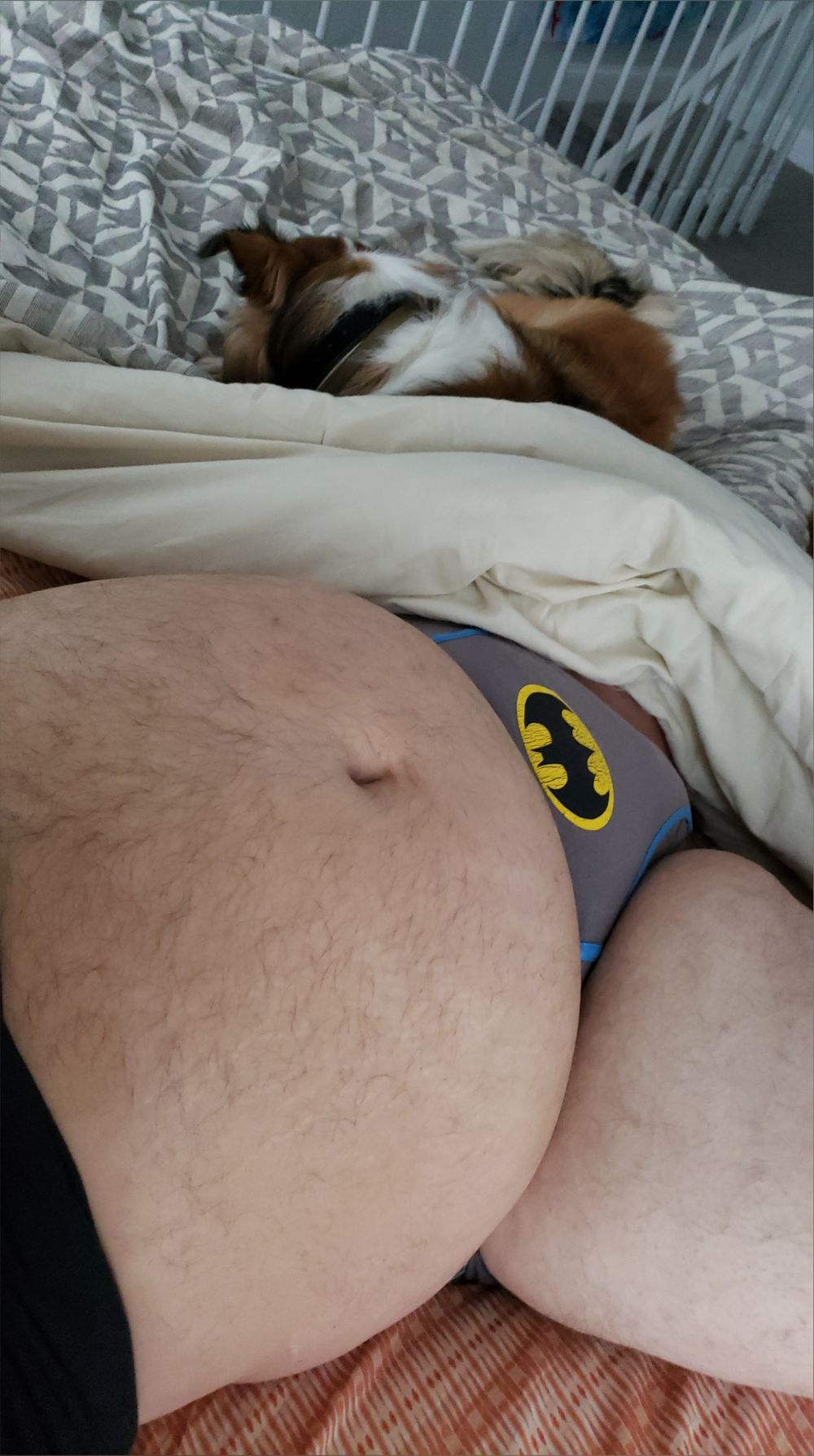 nerdybearnj OnlyFans profile picture